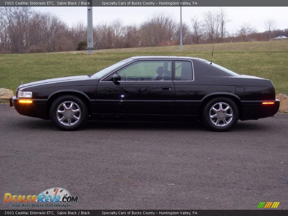 2001 Cadillac Eldorado ETC Sable Black / Black Photo #5