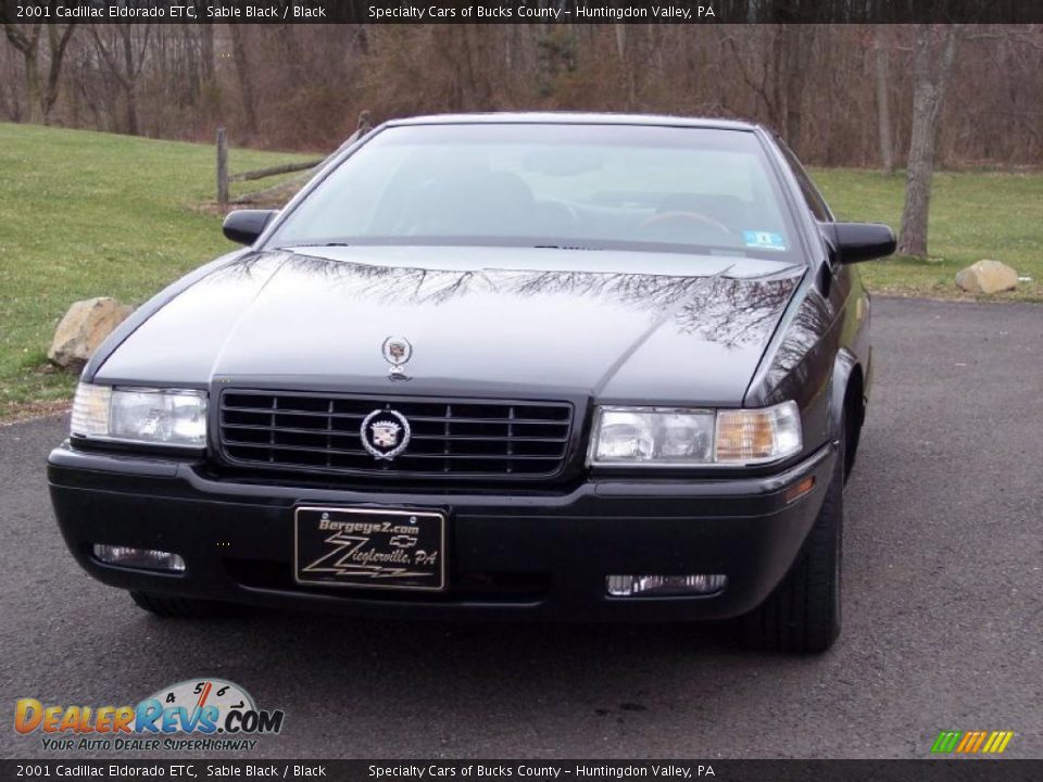 2001 Cadillac Eldorado ETC Sable Black / Black Photo #9