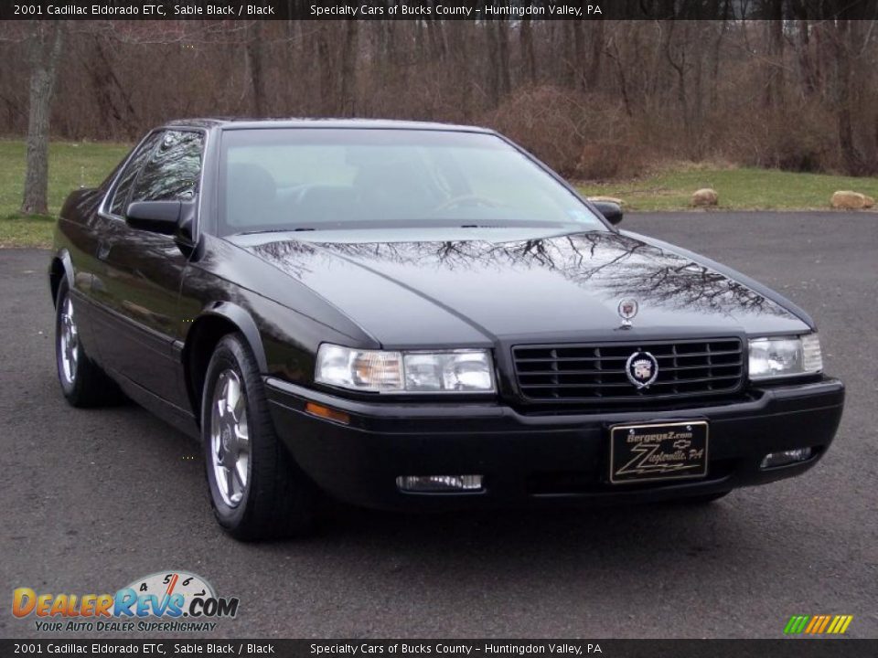 2001 Cadillac Eldorado ETC Sable Black / Black Photo #10