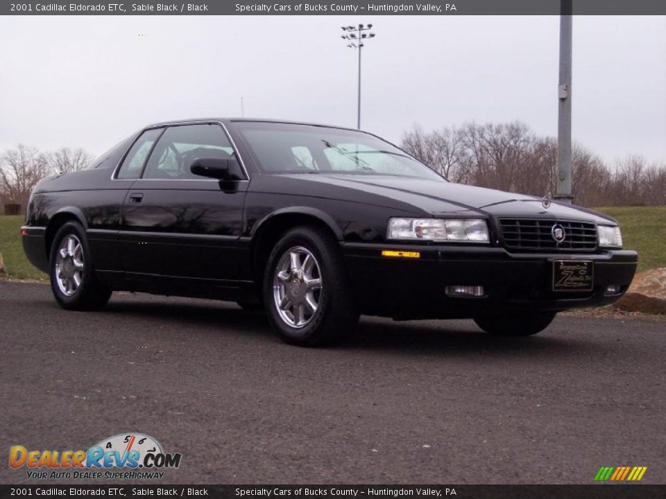 2001 Cadillac Eldorado ETC Sable Black / Black Photo #11