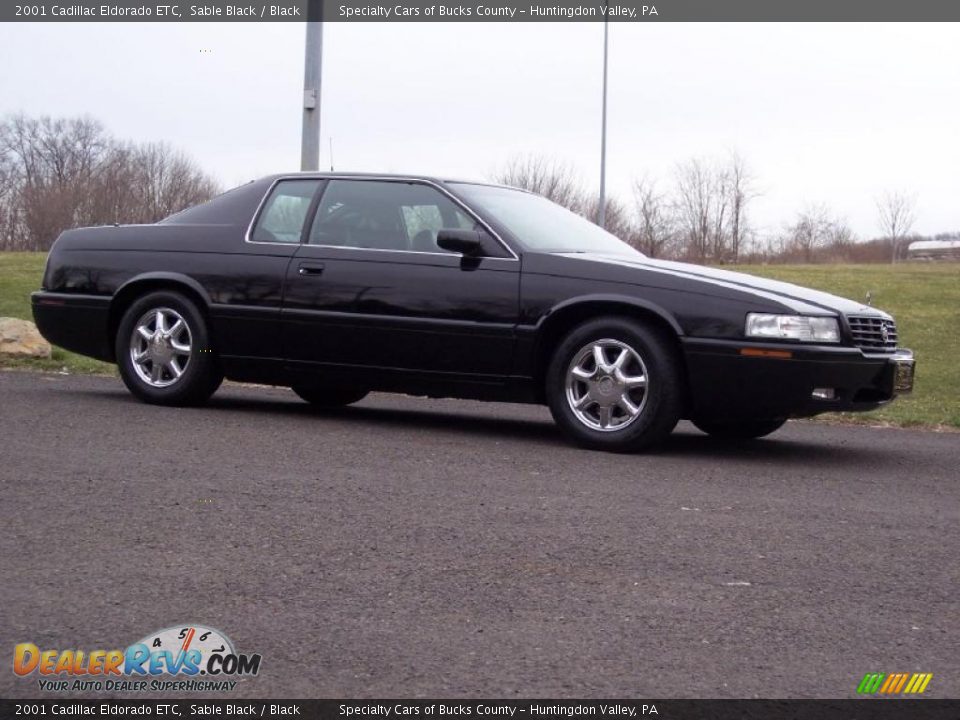 Sable Black 2001 Cadillac Eldorado ETC Photo #12