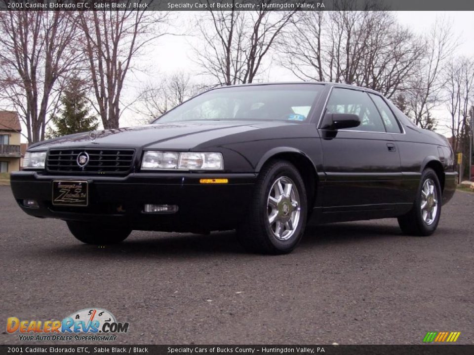 2001 Cadillac Eldorado ETC Sable Black / Black Photo #18