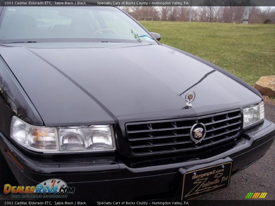 2001 Cadillac Eldorado ETC Sable Black / Black Photo #21