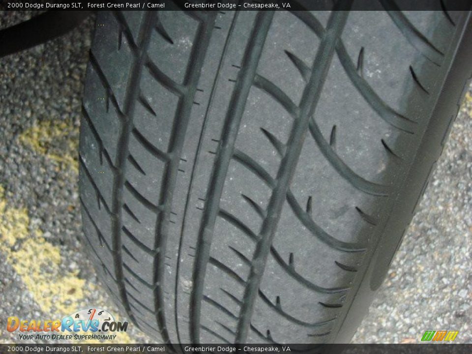 2000 Dodge Durango SLT Forest Green Pearl / Camel Photo #20