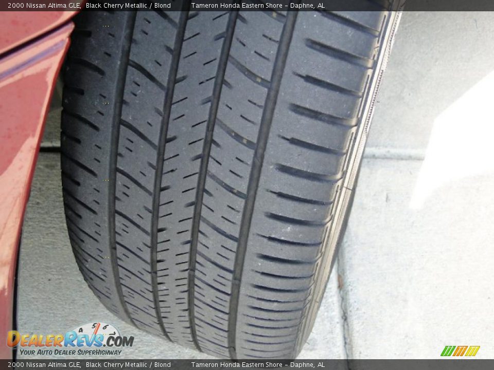 2000 Nissan Altima GLE Black Cherry Metallic / Blond Photo #31