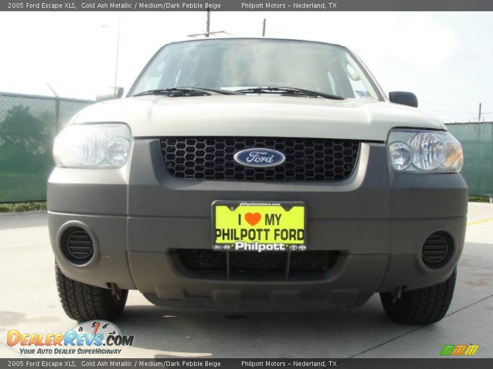 2005 Ford Escape XLS Gold Ash Metallic / Medium/Dark Pebble Beige Photo #9