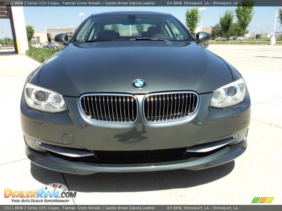 Tasman Green Metallic 2011 BMW 3 Series 335i Coupe Photo #5