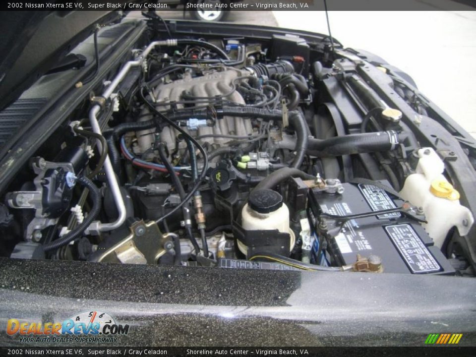 2002 Nissan Xterra SE V6 Super Black / Gray Celadon Photo #20