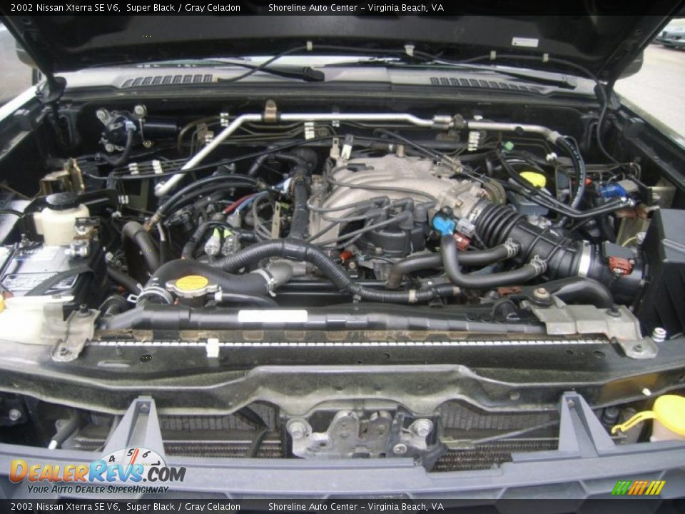 2002 Nissan Xterra SE V6 Super Black / Gray Celadon Photo #21