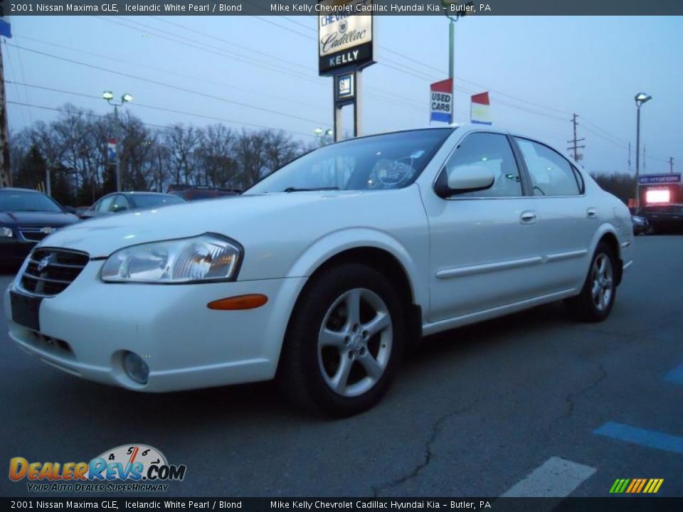 Pearl nissan maxima #5