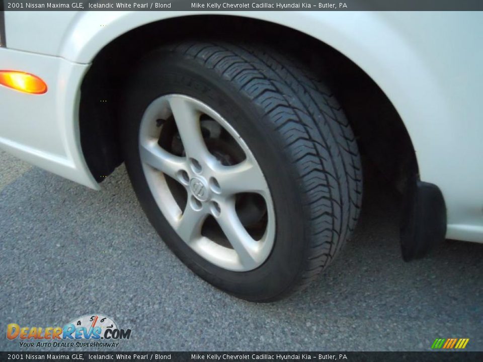 2001 Nissan Maxima GLE Icelandic White Pearl / Blond Photo #10