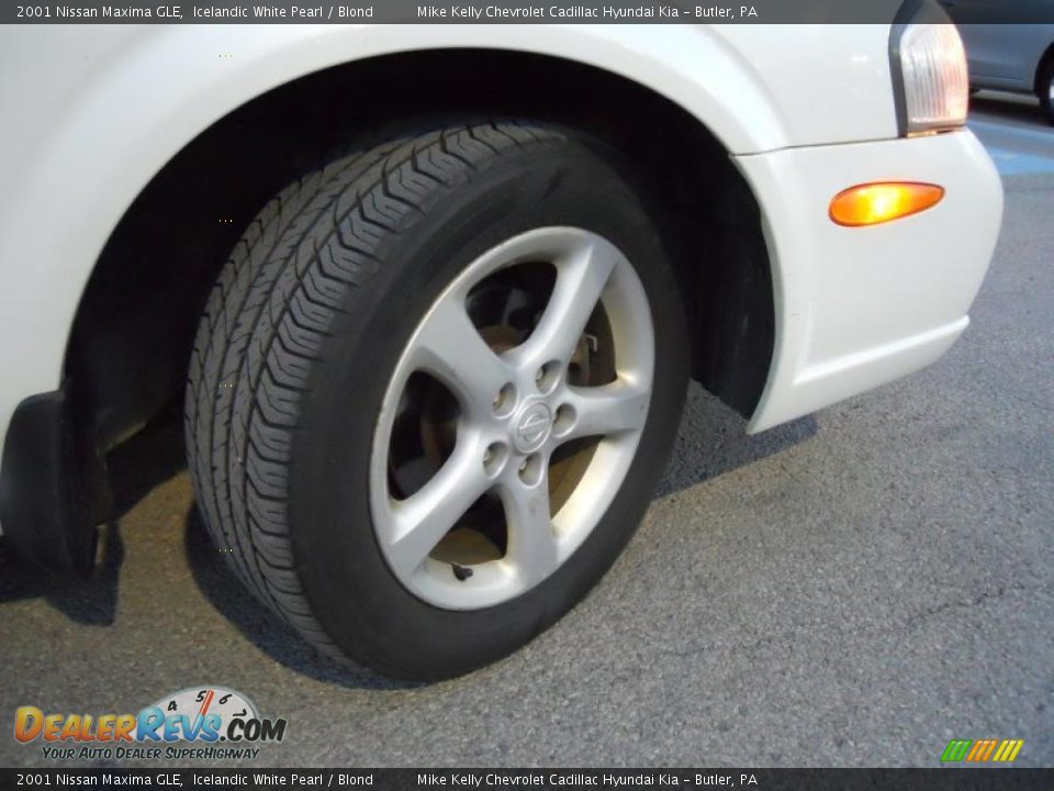 2001 Nissan Maxima GLE Icelandic White Pearl / Blond Photo #11