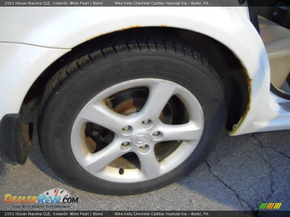 2001 Nissan Maxima GLE Icelandic White Pearl / Blond Photo #13