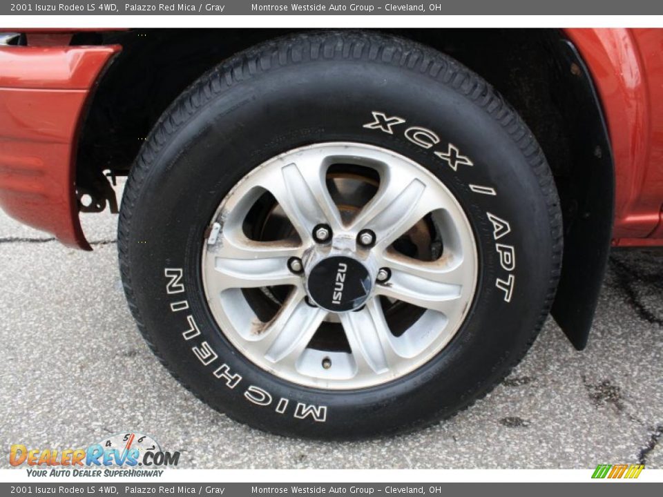 2001 Isuzu Rodeo LS 4WD Wheel Photo #20