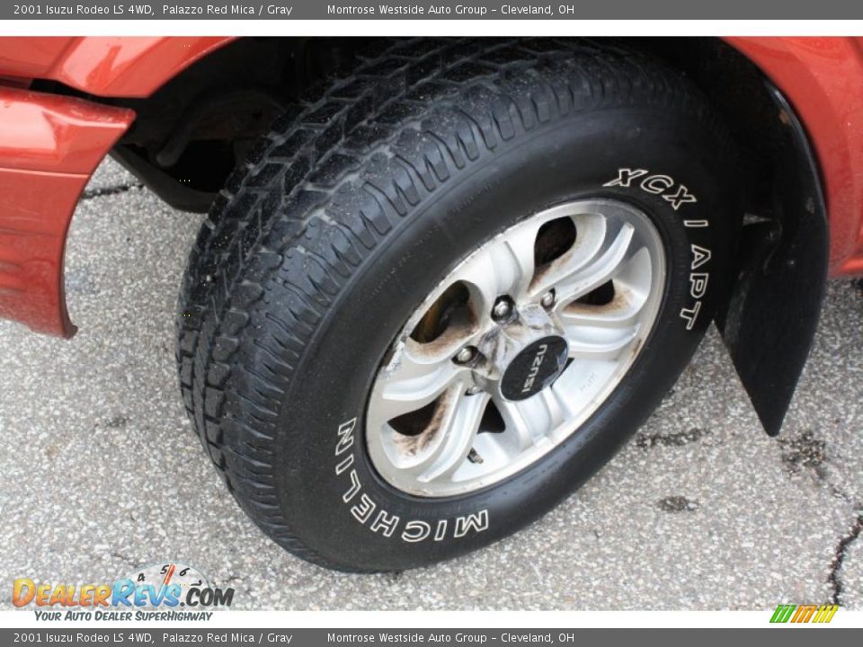 2001 Isuzu Rodeo LS 4WD Palazzo Red Mica / Gray Photo #21