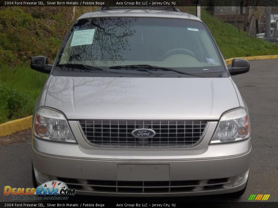 2004 Ford Freestar SEL Silver Birch Metallic / Pebble Beige Photo #4