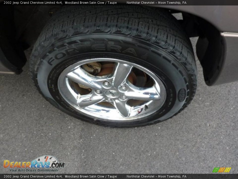 2002 Jeep Grand Cherokee Limited 4x4 Woodland Brown Satin Glow / Taupe Photo #10