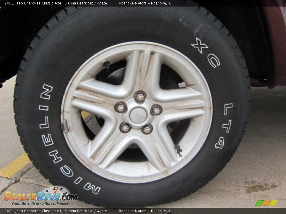 2001 Jeep Cherokee Classic 4x4 Sienna Pearlcoat / Agate Photo #9