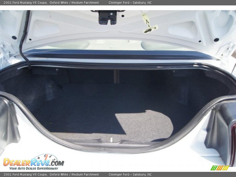 2001 Ford Mustang V6 Coupe Trunk Photo #10