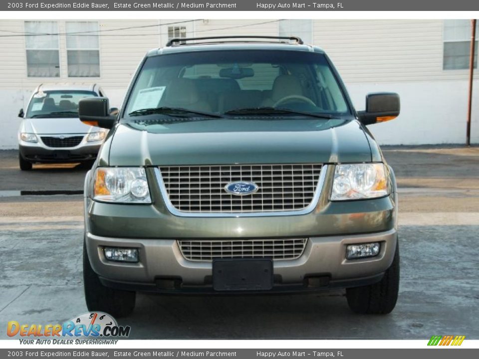 2003 Ford Expedition Eddie Bauer Estate Green Metallic / Medium Parchment Photo #5