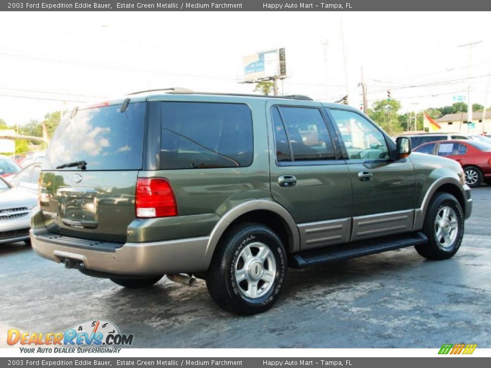 2003 Ford Expedition Eddie Bauer Estate Green Metallic / Medium Parchment Photo #9