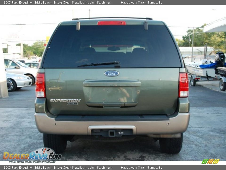 2003 Ford Expedition Eddie Bauer Estate Green Metallic / Medium Parchment Photo #10