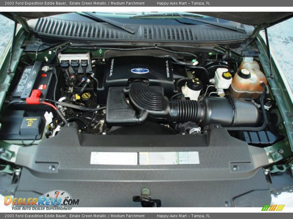 2003 Ford Expedition Eddie Bauer 5.4 Liter SOHC 16-Valve Triton V8 Engine Photo #29