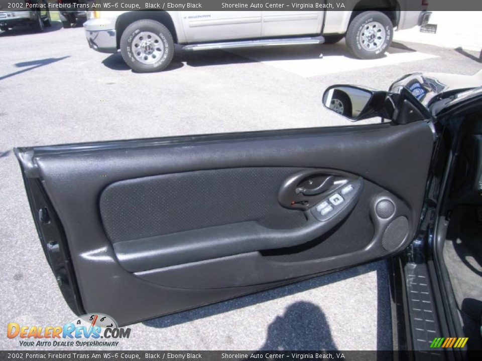 Door Panel of 2002 Pontiac Firebird Trans Am WS-6 Coupe Photo #14