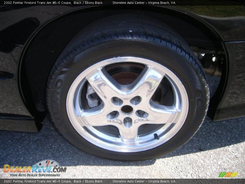 2002 Pontiac Firebird Trans Am WS-6 Coupe Black / Ebony Black Photo #16