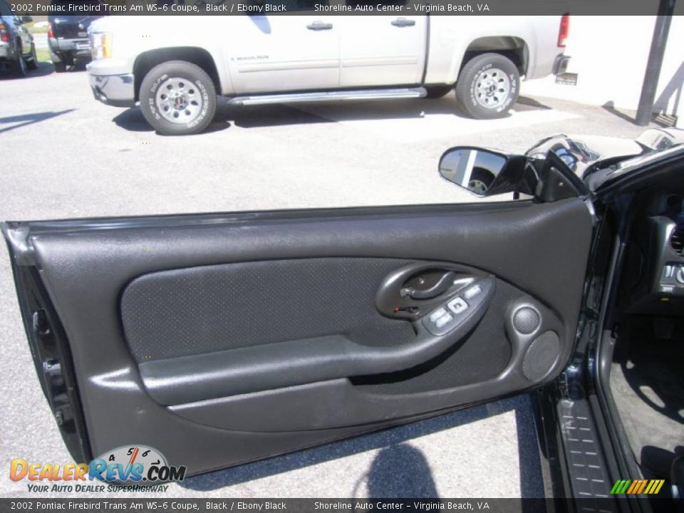 Door Panel of 2002 Pontiac Firebird Trans Am WS-6 Coupe Photo #17