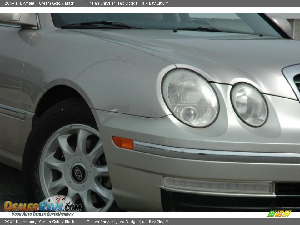 2004 Kia Amanti Cream Gold / Black Photo #7