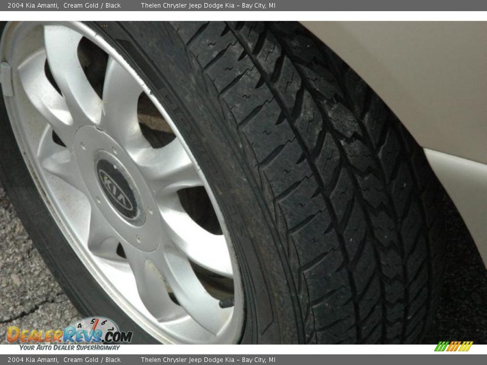 2004 Kia Amanti Cream Gold / Black Photo #14