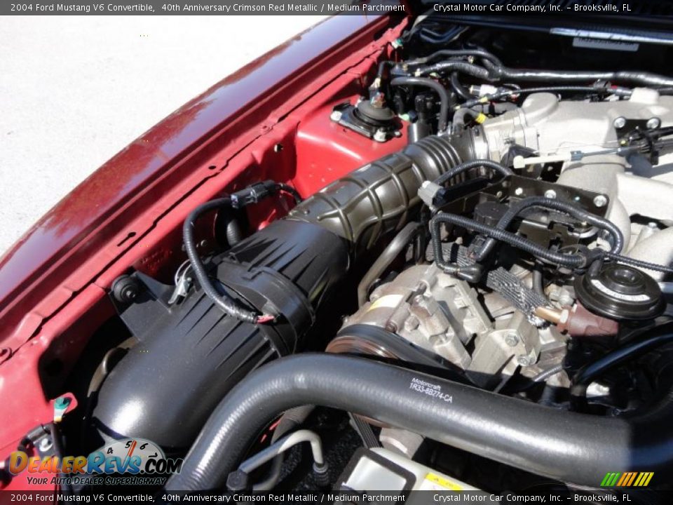 2004 Ford Mustang V6 Convertible 40th Anniversary Crimson Red Metallic / Medium Parchment Photo #21