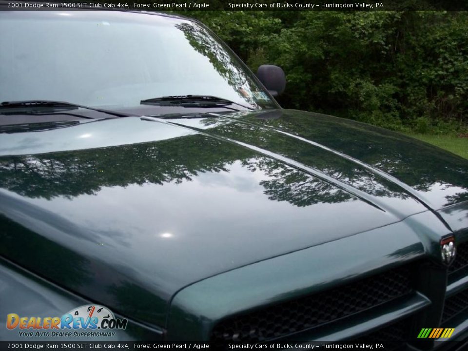 2001 Dodge Ram 1500 SLT Club Cab 4x4 Forest Green Pearl / Agate Photo #31