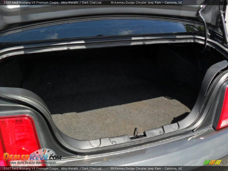 2007 Ford Mustang V6 Premium Coupe Alloy Metallic / Dark Charcoal Photo #14
