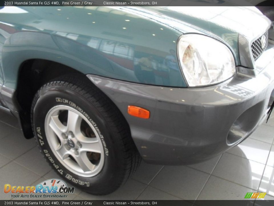 2003 Hyundai Santa Fe GLS 4WD Pine Green / Gray Photo #10