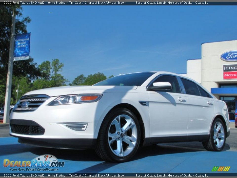 2011 Ford Taurus SHO AWD White Platinum Tri-Coat / Charcoal Black/Umber Brown Photo #1