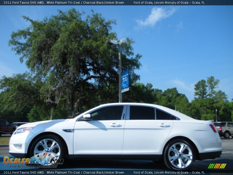 2011 Ford Taurus SHO AWD White Platinum Tri-Coat / Charcoal Black/Umber Brown Photo #2