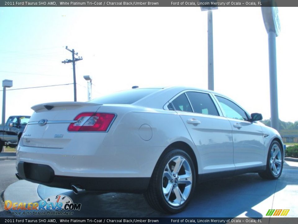 2011 Ford Taurus SHO AWD White Platinum Tri-Coat / Charcoal Black/Umber Brown Photo #5