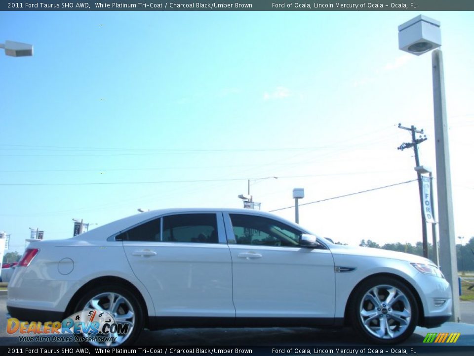 2011 Ford Taurus SHO AWD White Platinum Tri-Coat / Charcoal Black/Umber Brown Photo #6