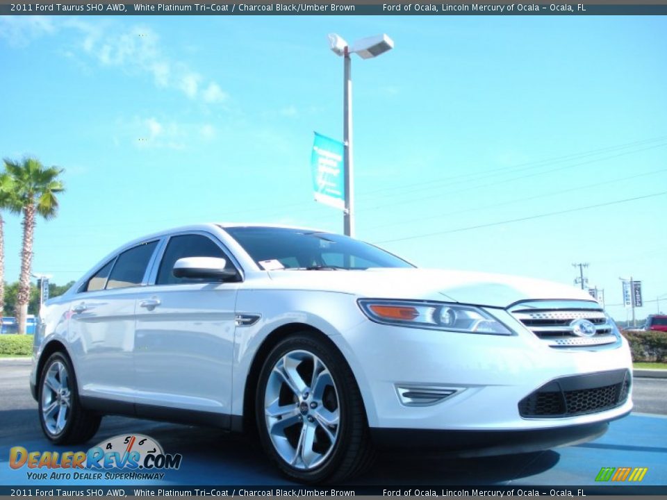 2011 Ford Taurus SHO AWD White Platinum Tri-Coat / Charcoal Black/Umber Brown Photo #7