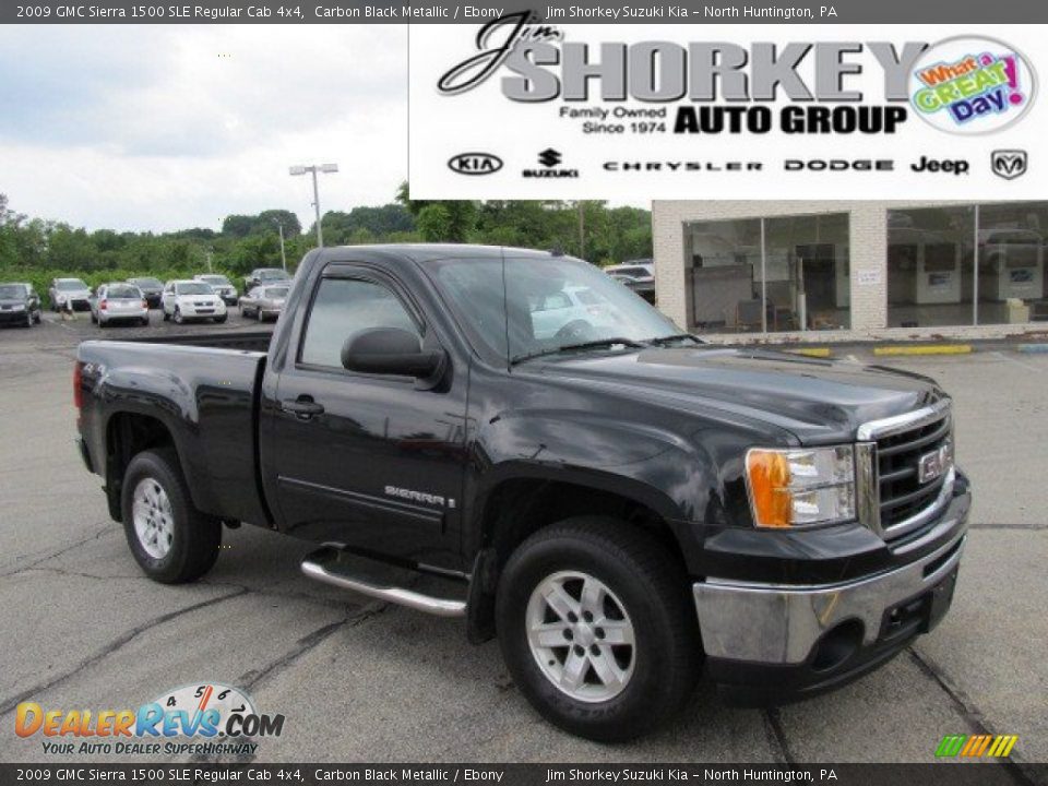 2009 GMC Sierra 1500 SLE Regular Cab 4x4 Carbon Black Metallic / Ebony Photo #1