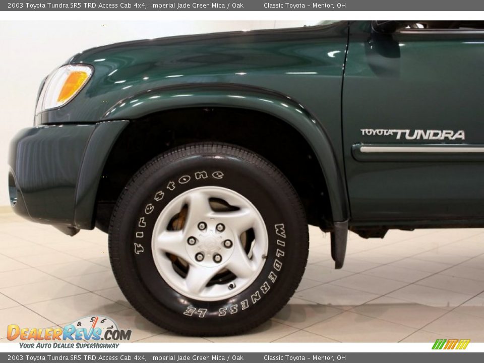 2003 Toyota Tundra SR5 TRD Access Cab 4x4 Wheel Photo #18