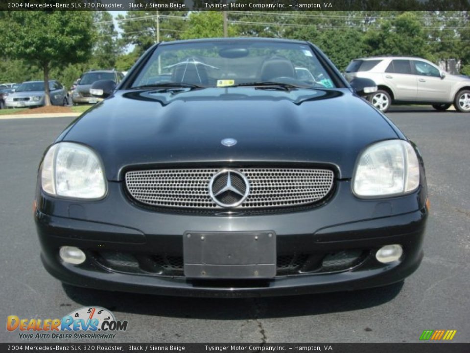 Black 2004 Mercedes-Benz SLK 320 Roadster Photo #8