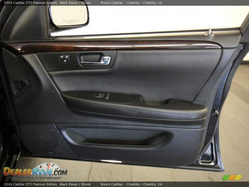 Door Panel of 2009 Cadillac DTS Platinum Edition Photo #19
