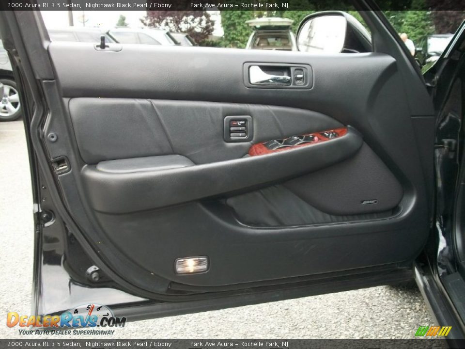 Door Panel of 2000 Acura RL 3.5 Sedan Photo #9