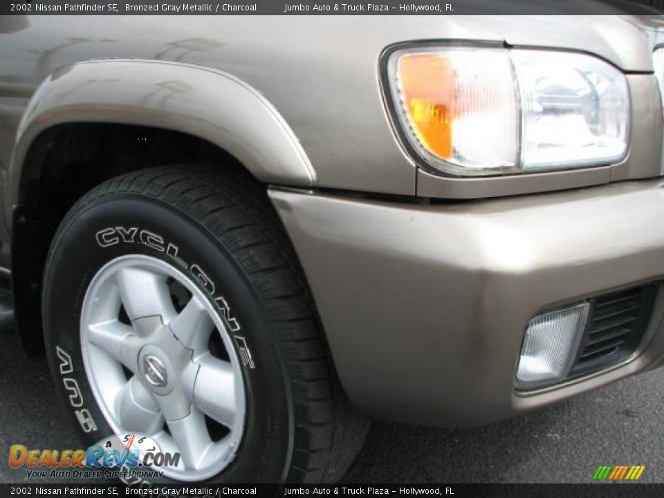 2002 Nissan Pathfinder SE Bronzed Gray Metallic / Charcoal Photo #4