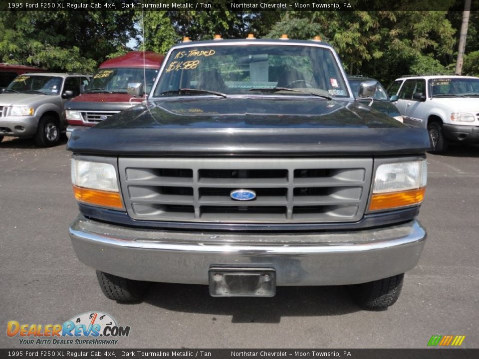 1995 Ford F250 XL Regular Cab 4x4 Dark Tourmaline Metallic / Tan Photo #2