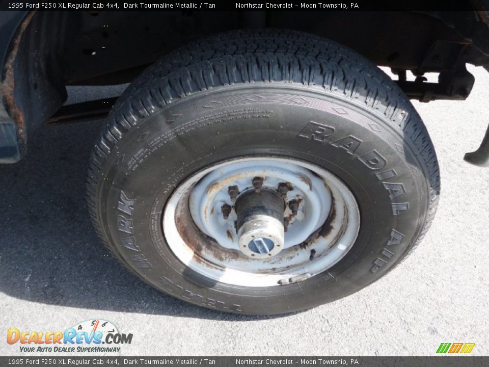 1995 Ford F250 XL Regular Cab 4x4 Dark Tourmaline Metallic / Tan Photo #9