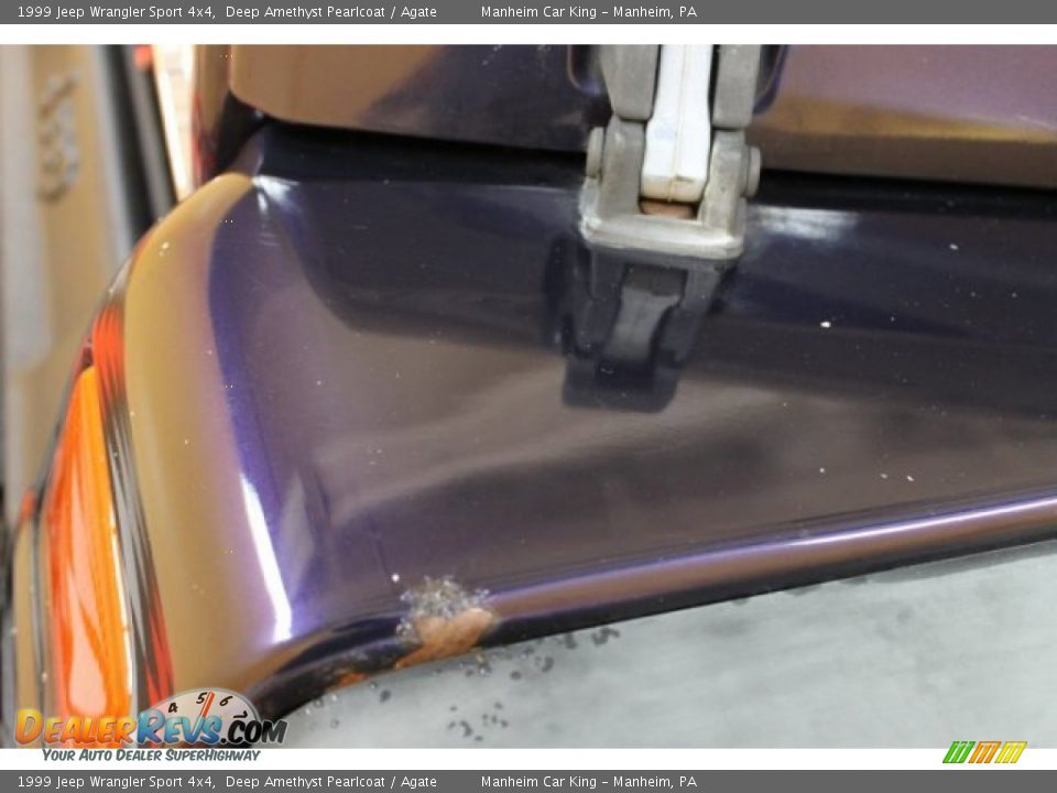 1999 Jeep Wrangler Sport 4x4 Deep Amethyst Pearlcoat / Agate Photo #16
